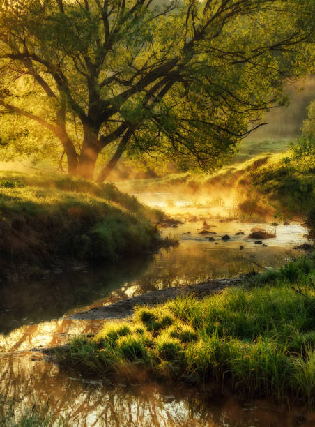 spring morning. dawn near a picturesque river