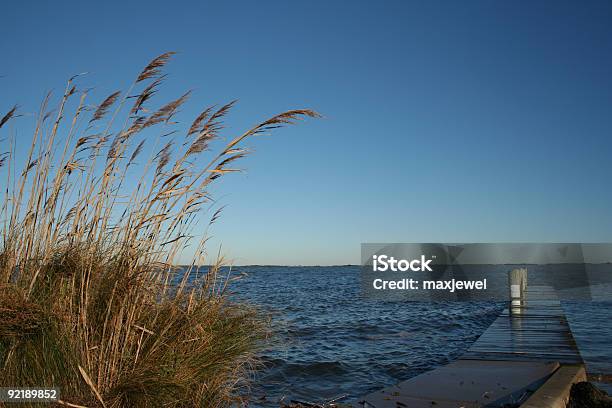 Foto de Lingüetas Das Docas e mais fotos de stock de Azul - Azul, Baía, Canal Assateague