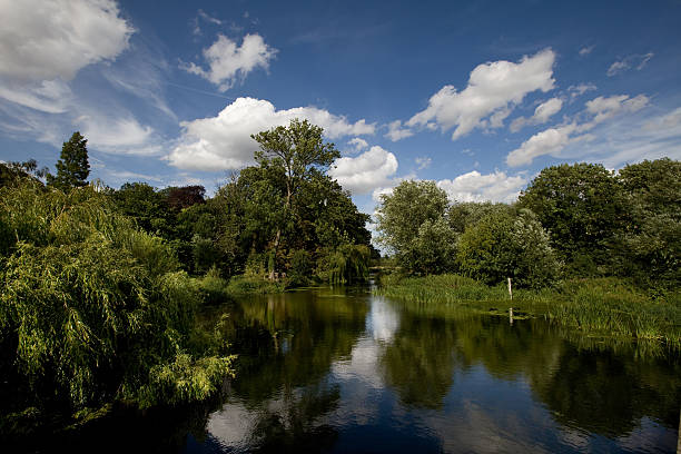 Grantchester Mill Pond  cambridgeshire stock pictures, royalty-free photos & images
