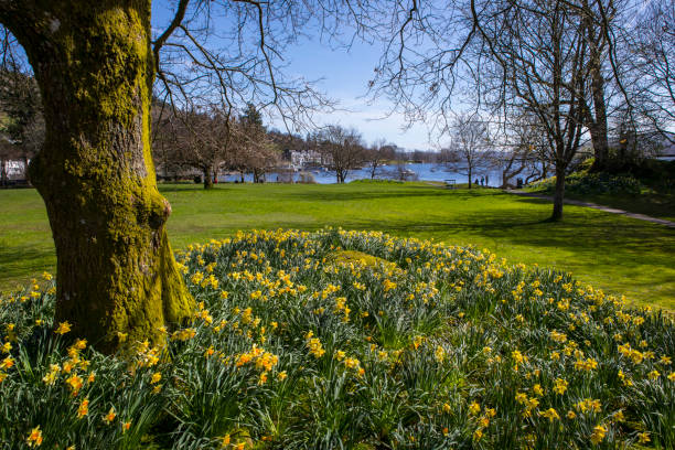 озеро уиндермир в озерном крае, великобритания - ambleside стоковые фото и изображения