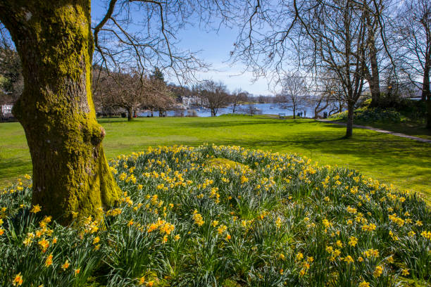 A springtime view of Lake Windermere from Waterhead, near Ambleside, in the beautiful Lake District.
