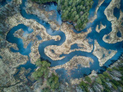 Aerial view of a winding river and mixed tree forest.