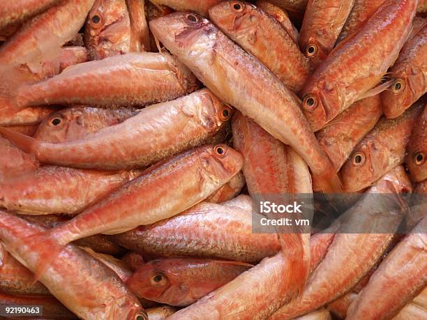 Mercato Del Pesce 1 - Fotografie stock e altre immagini di Alimentazione sana - Alimentazione sana, Animale morto, Bancarella