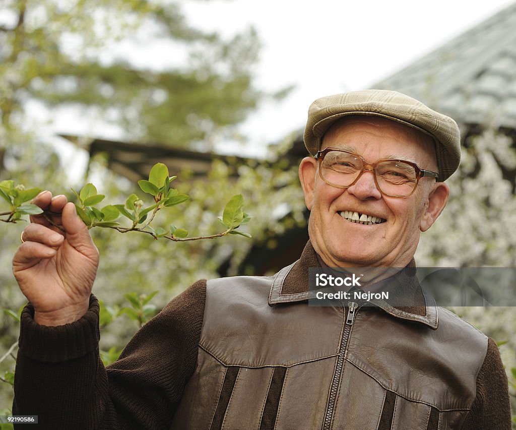 행복함 노인 남자 만들진 가든 - 로열티 프리 60-69세 스톡 사진
