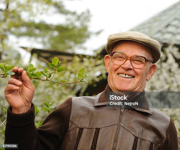 행복함 노인 남자 만들진 가든 60-69세에 대한 스톡 사진 및 기타 이미지 - 60-69세, 70-79세, 건강관리와 의술