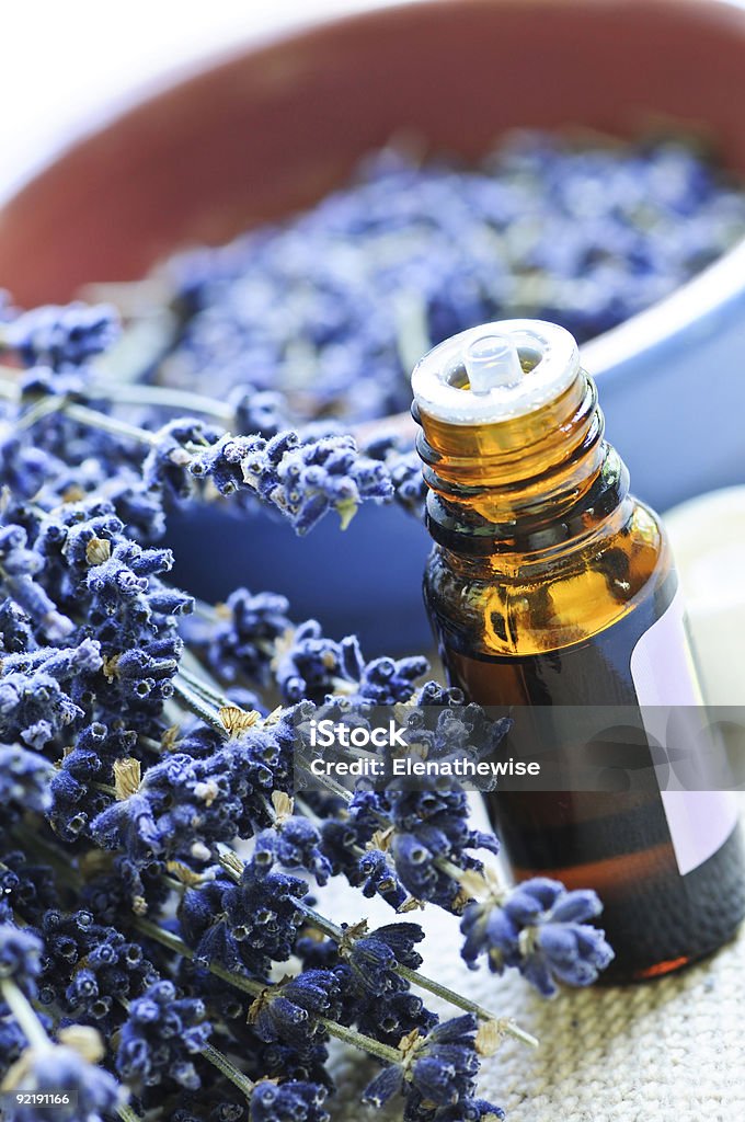 Lavender herb and essential oil  Alternative Therapy Stock Photo