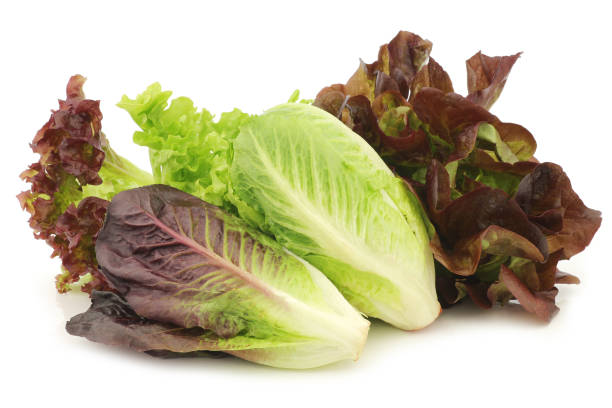 istock fresh romaine and red lettuce 921916484