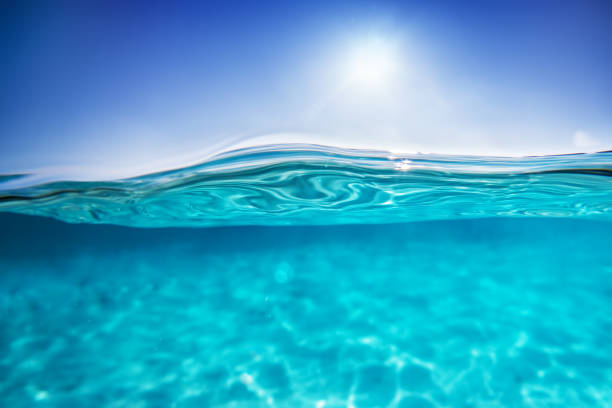 istock Half underwater shot, clear water and sunny blue sky. Tropical ocean 921916818