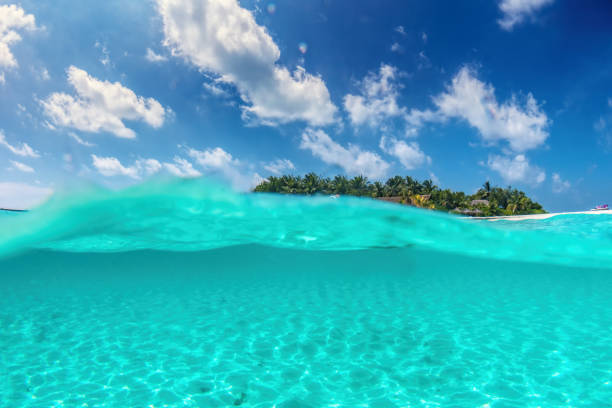 istock Tropical island on Indian Ocean, Maldives. Half underwater shot 921916848