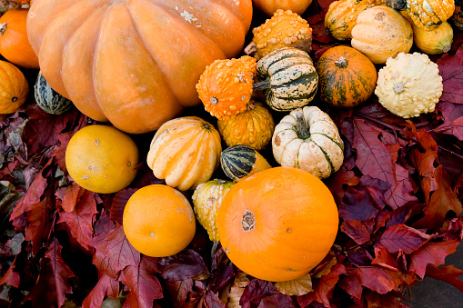 Top view of autumnal colorful gourds and fallen leaves on white wooden backgrounds