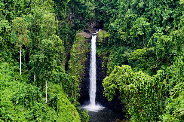 istock Beautiful view of thin waterfall in a dense forest 92191776