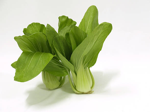 Fresh Chinese Cabbage, Bok choy stock photo