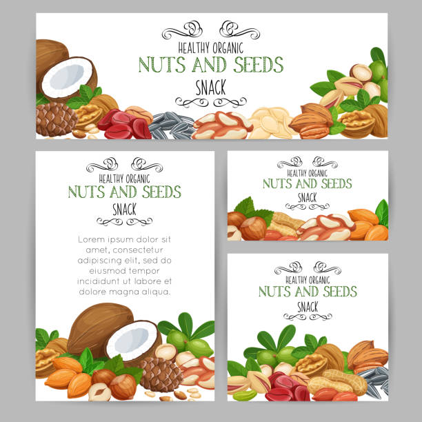 Brazil Nuts Backgrounds Illustrations, Royalty-Free Vector Graphics