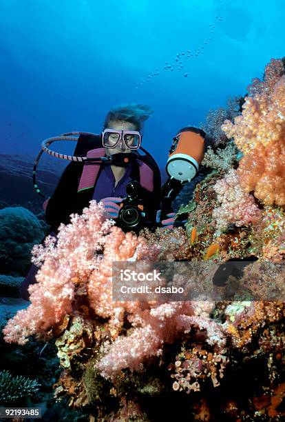 Tuffatore Femminile Visualizzazione Di Coralli Morbidi Rosa - Fotografie stock e altre immagini di Corallo - Cnidario