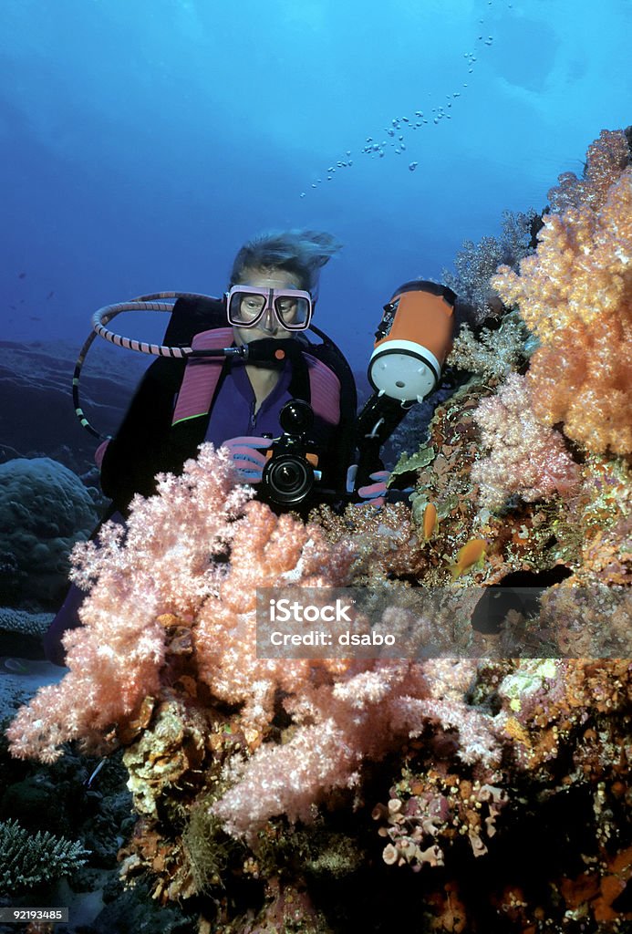 여성 다이버 재생입니다 핑크 소프트 산호가 살고 - 로열티 프리 산호-자포동물 스톡 사진