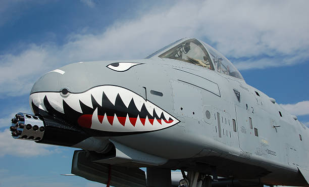 Modern ground attack jet fighter  a10 warthog stock pictures, royalty-free photos & images