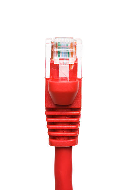 A close up of a red network connection cable stock photo