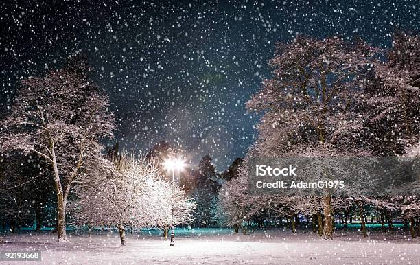 Winter Park At Night Stock Photo - Download Image Now - Beauty In Nature, Blue, Cold Temperature