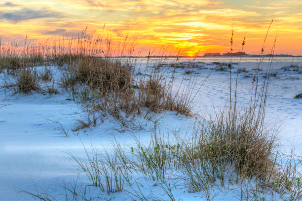 Sunset Over Fort Pickens Dunes A colorful sunset over the seaoats and dunes on Fort Pickens Beach in the Gulf Islands National Seashore, Florida. gulf of mexico photos stock pictures, royalty-free photos & images