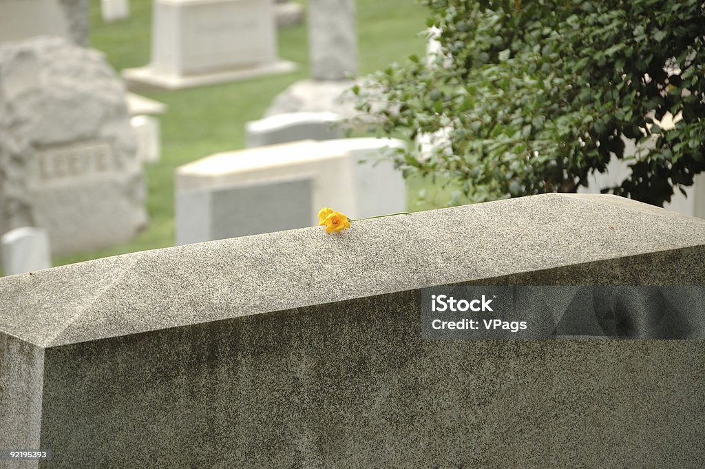 Une seule fleur jaune sur grave stone - Photo de Arlington - Virginie libre de droits