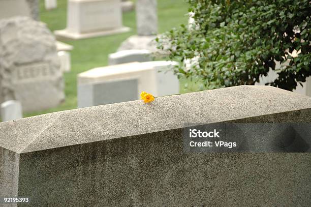 Photo libre de droit de Une Seule Fleur Jaune Sur Grave Stone banque d'images et plus d'images libres de droit de Arlington - Virginie - Arlington - Virginie, Chagrin, Cimetière