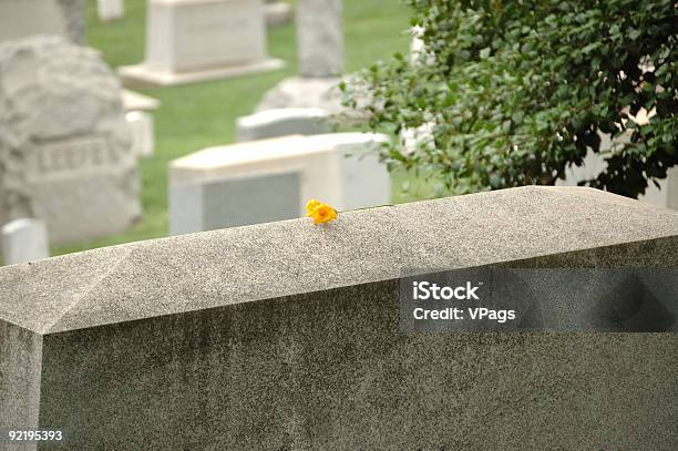 Singolo Fiore Giallo Sulla Tomba Di Pietra - Fotografie stock e altre immagini di Arlington - Virginia - Arlington - Virginia, Cimitero, Cimitero Nazionale di Arlington