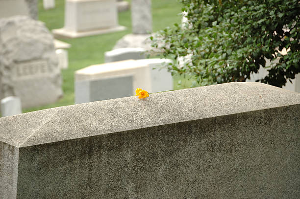 istock Single yellow flower on grave stone 92195393