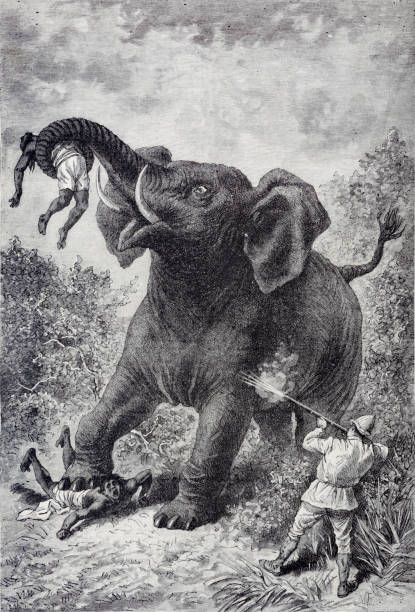 196 Dead Elephant Illustrations & Clip Art - iStock | Dead animal, Ivory,  Dead rhino