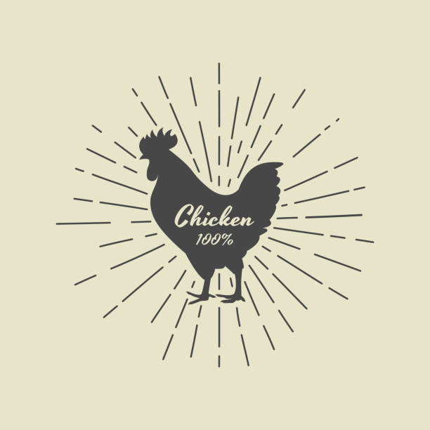 ilustrações de stock, clip art, desenhos animados e ícones de vector of lettering within silhouette of chicken. vector illustration for groceries, meat stores, packaging and advertising. easy editable layered vector illustration. - chicken silhouette animal rooster