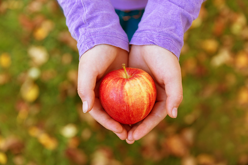 Girl holding a red apple in her hands