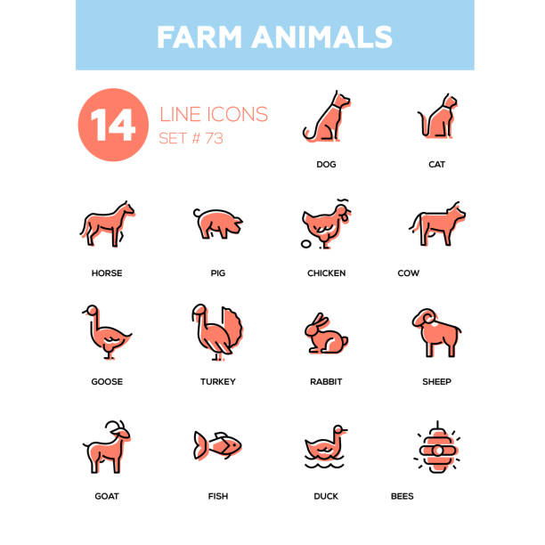 stockillustraties, clipart, cartoons en iconen met boerderijdieren - lijn ontwerpset pictogrammen - gekke paarden