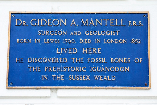 LEWES, UK - MAY 31ST 2017: A plaque marking the location where Dr. Gideon A. Mantell lived in Lewes, East Sussex, on 31st May 2017.  He discovered the fossil bones of the prehistoric Iguanodon.