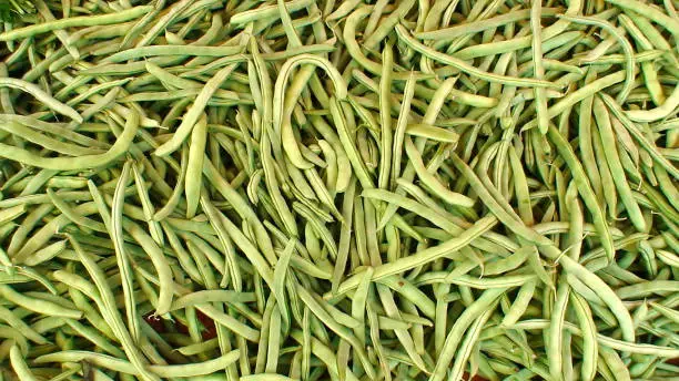 display of green beans on a market