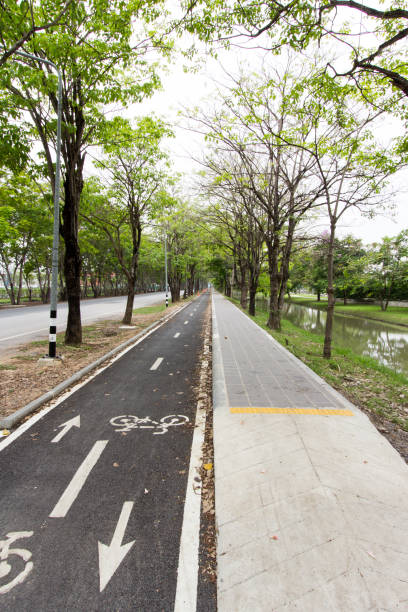istock Bike path, walk road and white lines with green tree 921973718