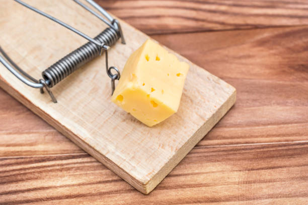 istock Mousetrap with cheese on wooden background. Close up. 921976628