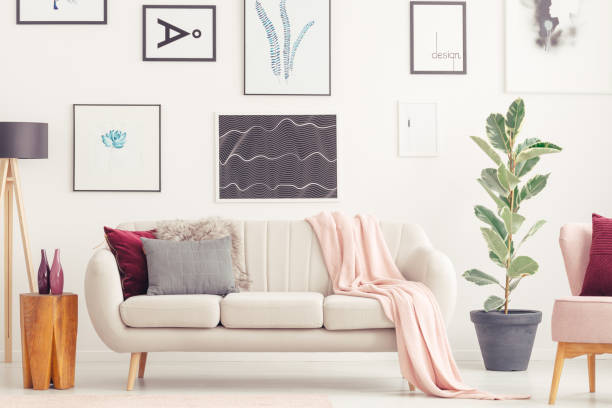 istock Ficus in bright living room 921977092