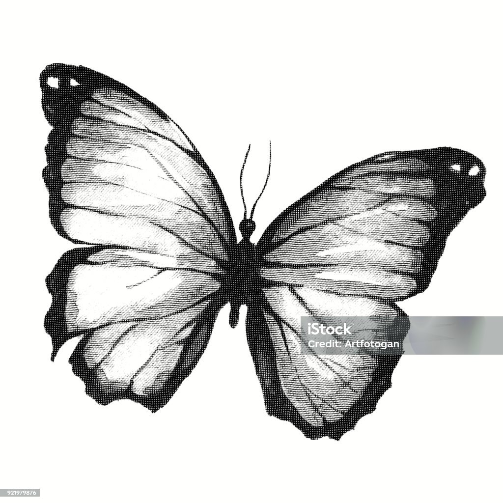 Brillar Sumergido Atlas Top 97+ imagen dibujos de mariposas a lapiz - Thptnganamst.edu.vn