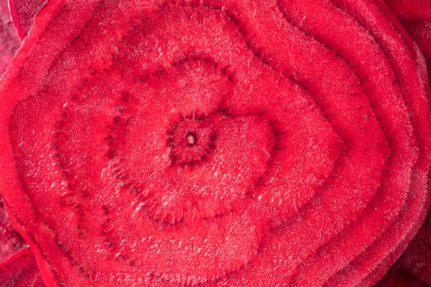 food background slice beet cut fresh crop close-up macro - beet common beet red food imagens e fotografias de stock