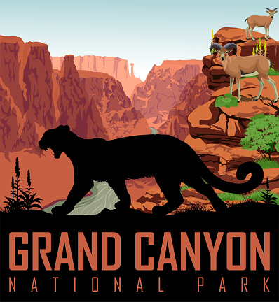 Vector Colorado river in Grand Canyon National Park with mountain lion and bighorn sheeps