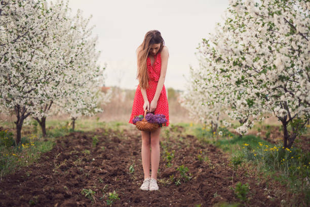 Young woman in a neglected almond orchard. Girl in red dress standing with arms outstretched under blossoming almond tree and looking up smiling