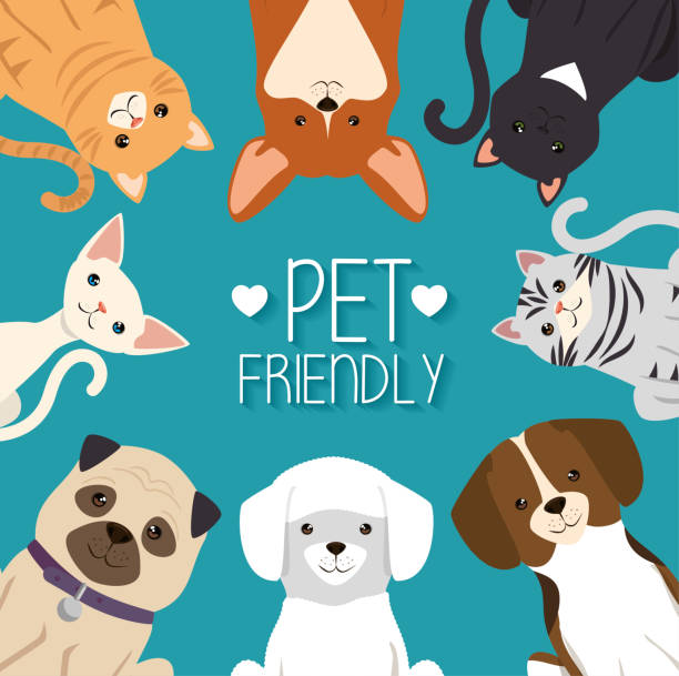 dogs and cats pets friendly dogs and cats pets friendly vector illustration design happy dog stock illustrations
