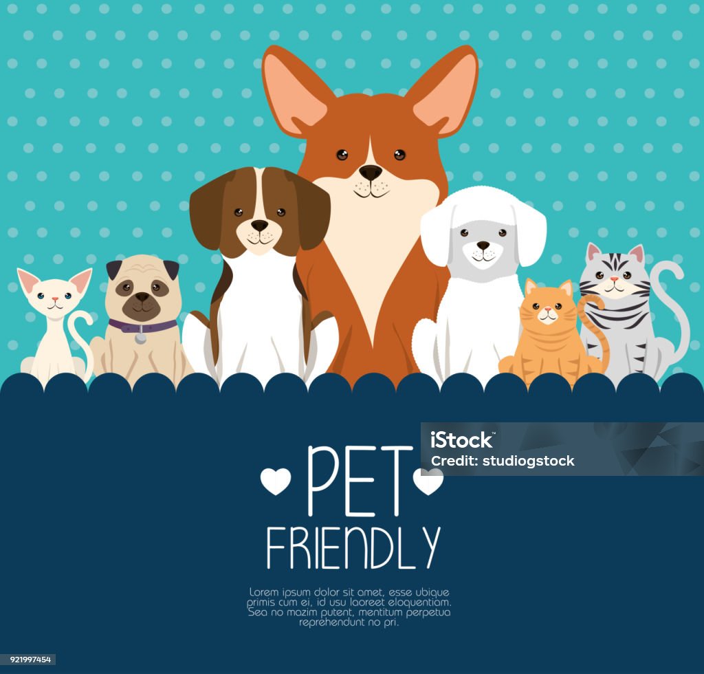 dogs and cats pets friendly dogs and cats pets friendly vector illustration design Pets stock vector