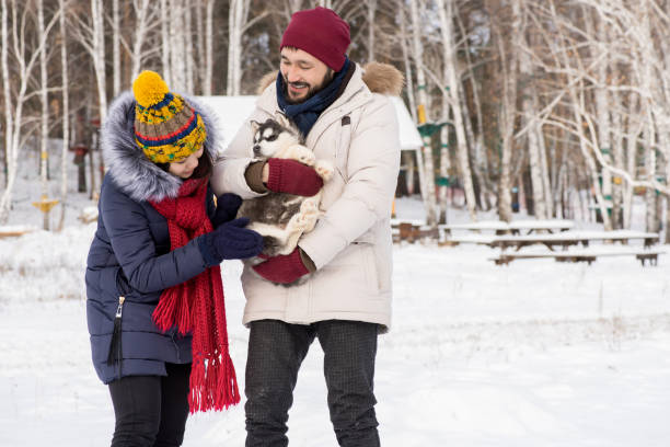 istock Asian Couple Playing with Husky Puppy 922000728