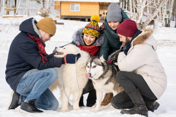 istock People Playing with Dogs on Vacation 922000742