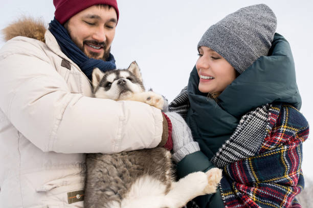 istock Couple Playing with Husky Puppy 922000768