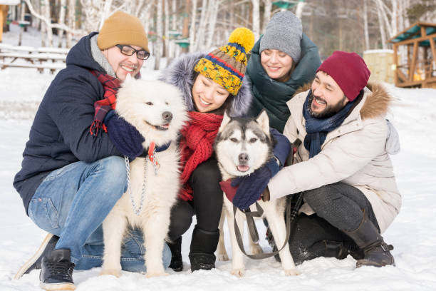 istock Young People Posing with Purebred Dogs 922000770