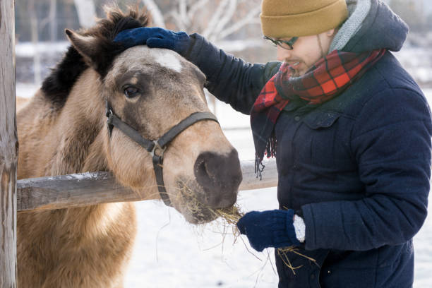 istock Man Feeding Horse on Ranch 922000778