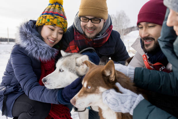 istock Young Couples Playing with Husky Dogs 922000782