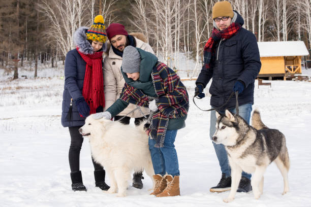 istock Young People Playing with Husky Dogs 922000784