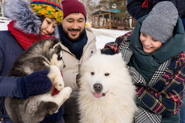 istock Friends Playing with Dogs 922000806